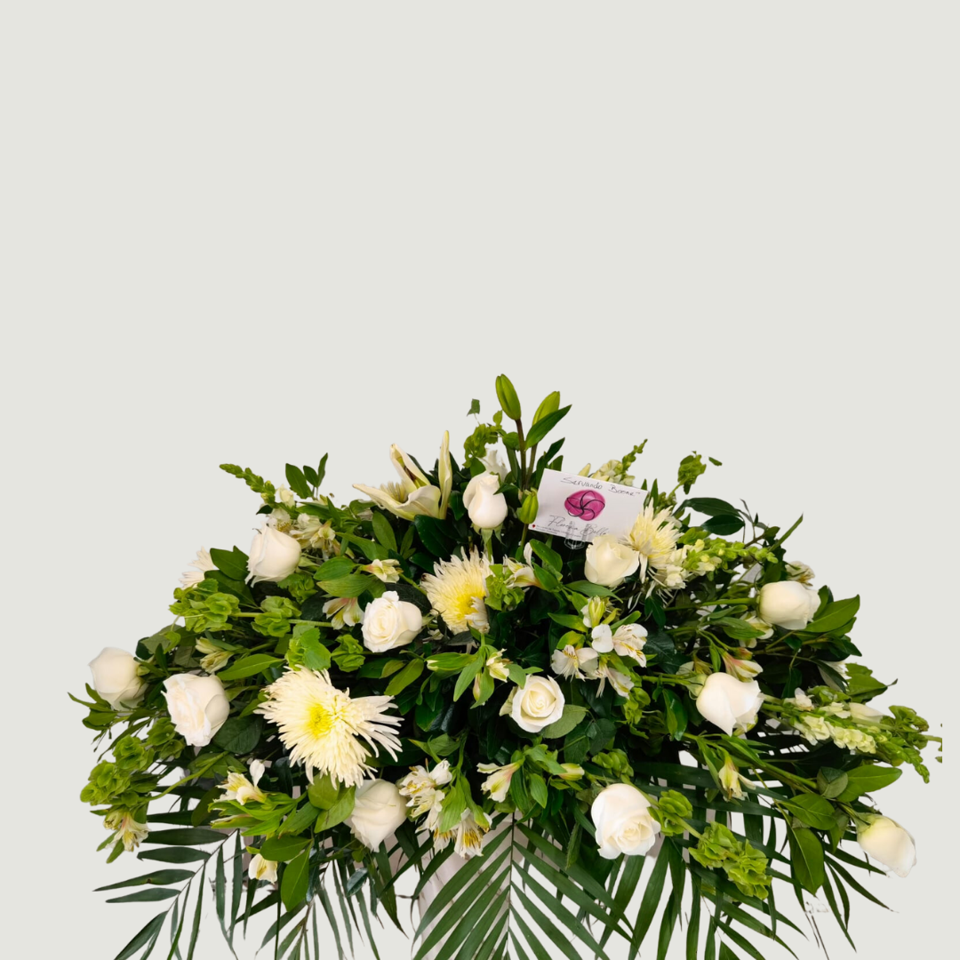 Tapete cubre caja defunción